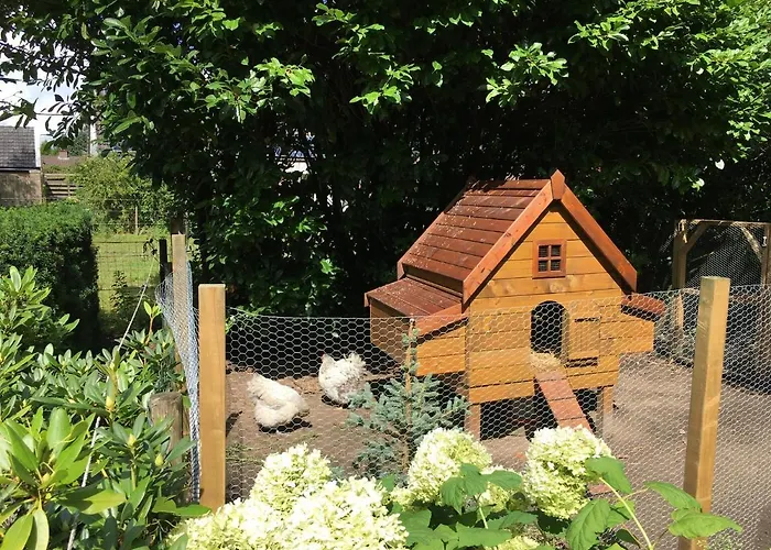 B&B De Drentse Es